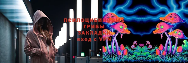 PSILOCYBIN Алексеевка