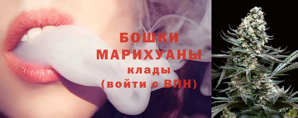 PSILOCYBIN Алексеевка