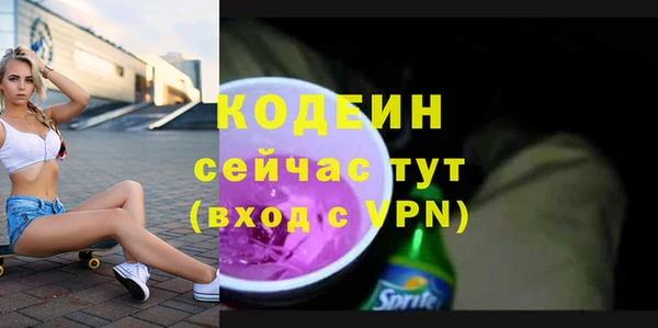 соль ск Пересвет