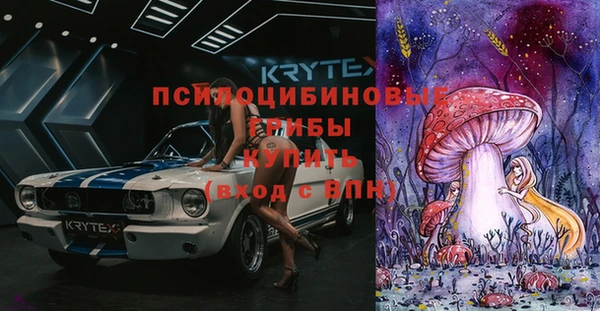 соль ск Алзамай