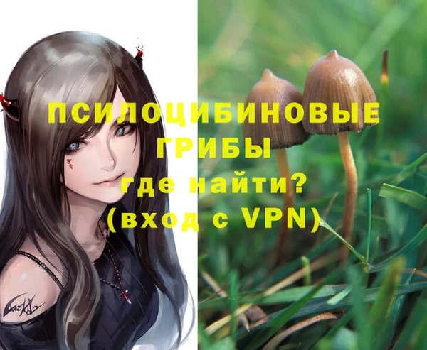 соль ск Алзамай
