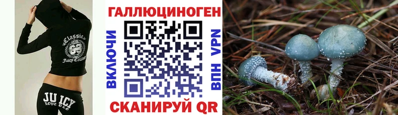 Галлюциногенные грибы мухоморы  Сельцо 